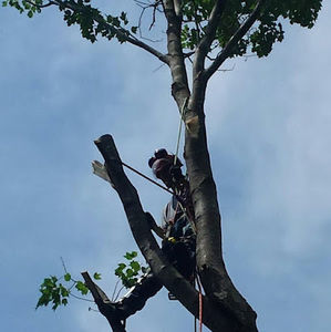 Meet your Posher, Joseph